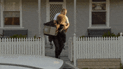 Friends Will GIF by Celebrity Apprentice Australia