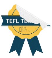 Teacher Teaching Sticker by TEFL Institute of Ireland