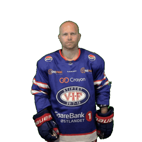 Ryan Deilig Sticker by VIF Hockey