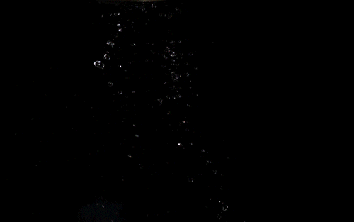 pop popcorn kernel GIF by TED