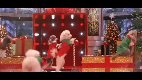 americas got talent holiday spectacular dog GIF by America's Got Talent