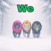 Cats Be There Soon GIF