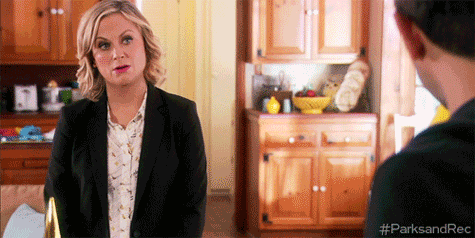 Parks And Recreation What GIF