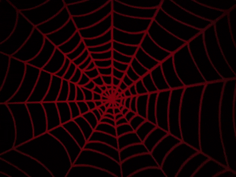 Spider Web Halloween GIF by PIXIES