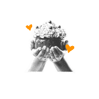 Job Bolo Sticker by Consultoria Cool Ideas