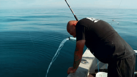 wicked tuna water GIF by National Geographic Channel