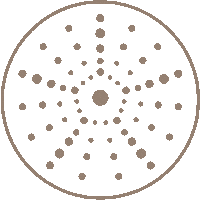 lebarthvillas caribbean shell sbh coquillage Sticker