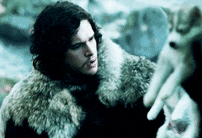 game of thrones ghost GIF
