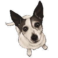 Dog Wagging Sticker by Lost Lily