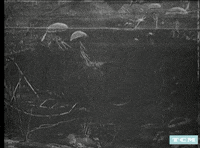 sci-fi movies GIF by Turner Classic Movies