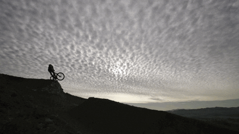 builder GIF by EchoBoom Sports