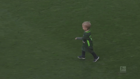 bundesliga werder GIF