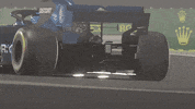 DecorusEsports dcrs decorus GIF