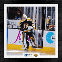 Boston Bruins Ahl GIF by Providence Bruins