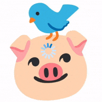 Pig GIF