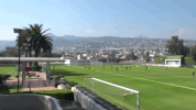 car fÃ£Âºtbol GIF by MiSelecciónMX