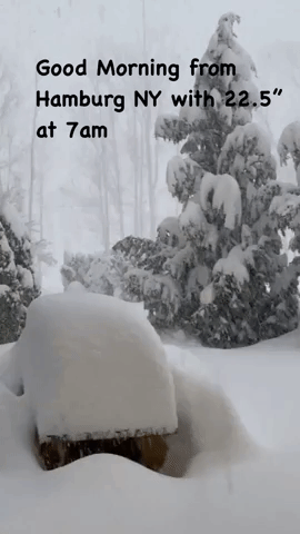 Upstate New York Wakes to Heavy Snow as State of Emergency Declared