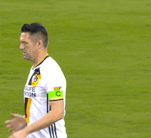 robbie keane goal celebration GIF by LA Galaxy