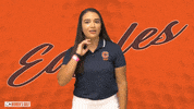 Cnwg20 GIF by Carson-Newman Athletics