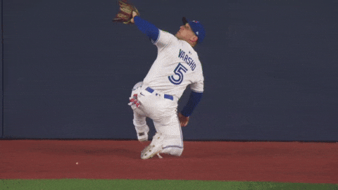 Blue Jays Wow GIF by MLB