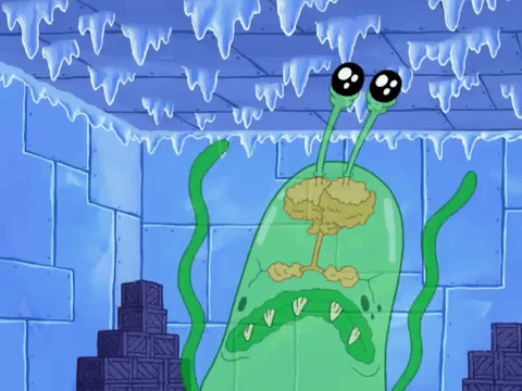 season 8 GIF by SpongeBob SquarePants