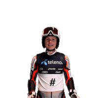 Norge Sticker by Skiforbundet