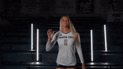 Georgia Tech Volleyball GIF by Georgia Tech Yellow Jackets