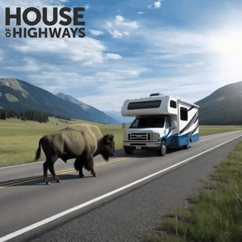 Camping Open Road GIF by House of Highways