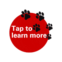 Learn More Nc State Sticker by NC State Entrepreneurship