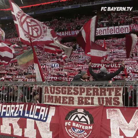 party love GIF by FC Bayern Munich