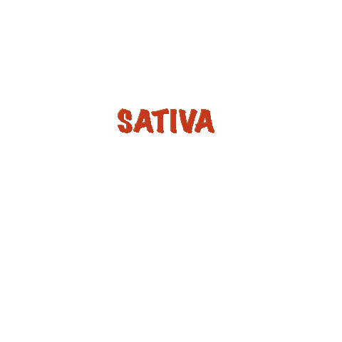 Lensden cannabis sativa Sticker