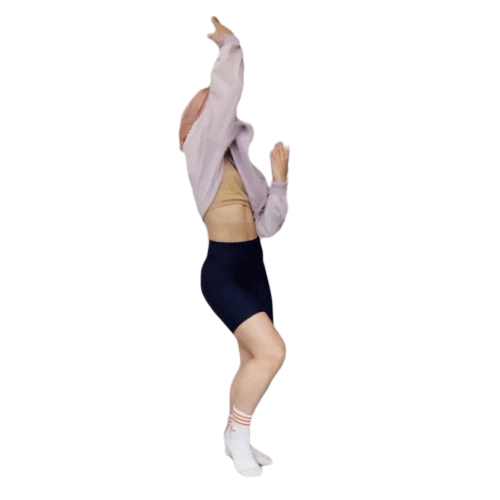 Sticker by LoftDance