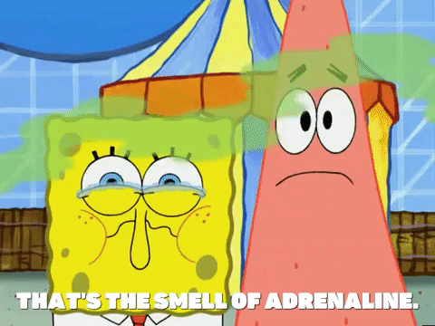season 5 episode 6 GIF by SpongeBob SquarePants