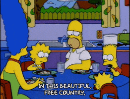 homer simpson episode 6 GIF