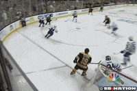 nhl GIF by SB Nation