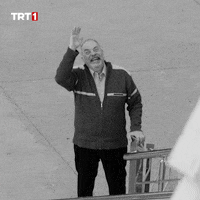 Wave Goodbye GIF by TRT