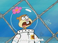 season 4 bummer vacation GIF by SpongeBob SquarePants