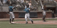 college baseball sport GIF by NCAA Championships