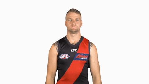 essendonfc giphyupload jake dons bombers GIF