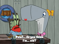 season 3 the great snail race GIF by SpongeBob SquarePants