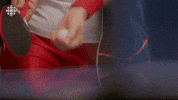 ping pong baroness GIF