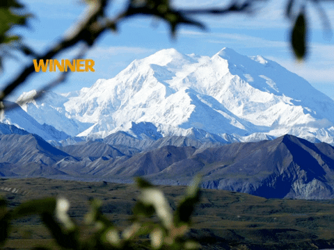 Germany Wow GIF by FranchiseCHECK.de