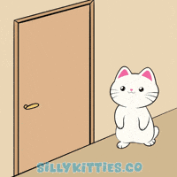 Angry Let Me In GIF by Silly Kitties