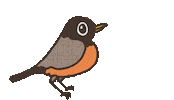 Orange Bird Sticker by Alex Strasser