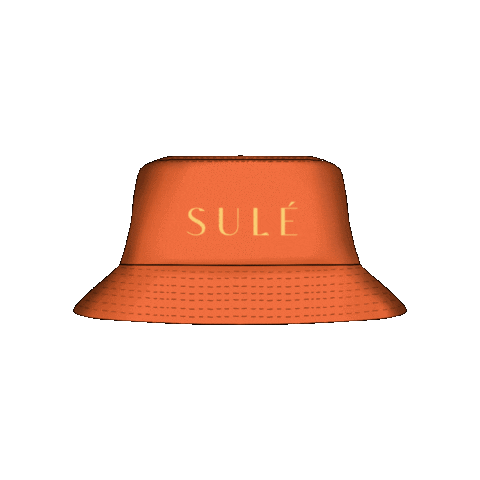 Thesulestore giphyupload sule Sticker