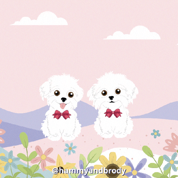 We Love You Dogs GIF by HammyandBrody
