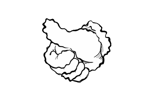 Animated Sticker