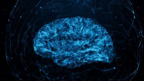 richardmodad giphygifmaker GIF