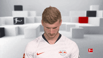 Happy Line Up GIF by Bundesliga