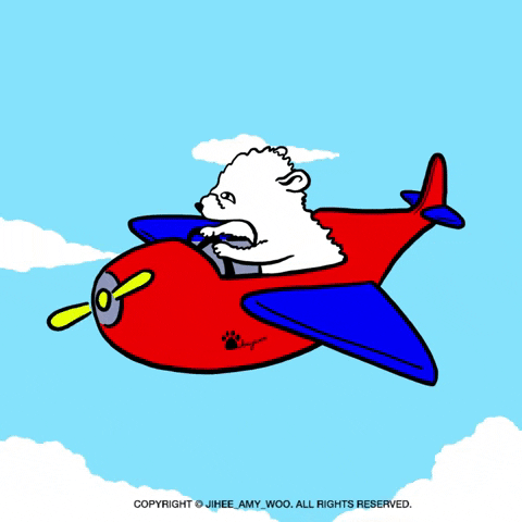 jiheeamywoo giphyupload dog puppy airplane GIF